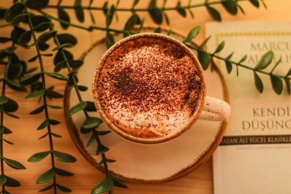 How Can Emerging UK Brands Shape the Future of Women's Fashion?